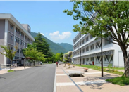 日本大學