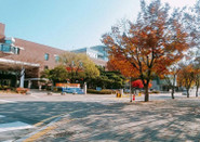 韩国留学