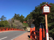 日本留學(xué)