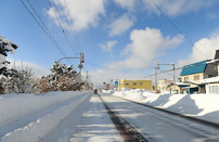 日本留学