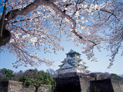 日本留學(xué)
