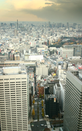 日本留学