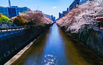 2026日本留学完整时间线规划