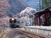 日本留學