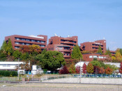 日本留學