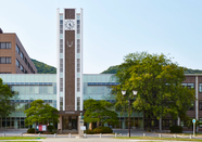 芥末留学