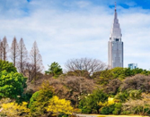 日本留学