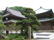 日本留學