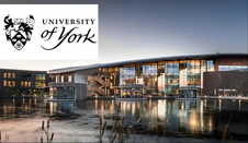 約克大學
