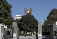 日本大學