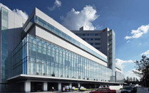 日本留学