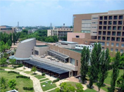 芥末留学