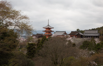 日本修士面试高分备考指南