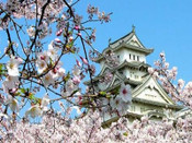日本留學
