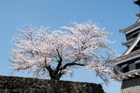 日本留学修士