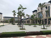 澳門留學(xué)