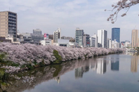 日本留學