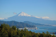 日本留学