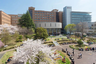 直申日本大學