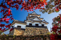 日本留學