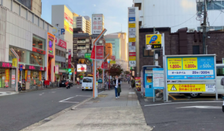芥末留学