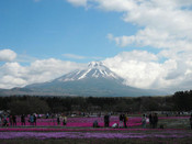 日本留学