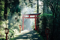 日本考研时间线规划 