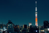 日本留学