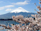 日本留學優(yōu)勢