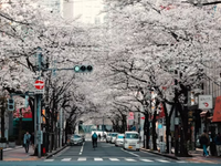 日本留学目标