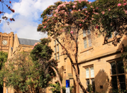 墨尔本大学