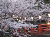 日本留學(xué)