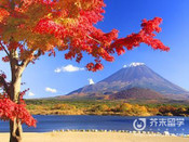 日本留學
