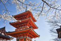 日本專門學(xué)校