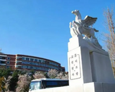 韓國大學