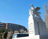 韩国大学