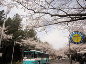 中央大學(xué)