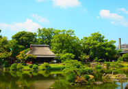 日本留学