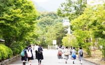 芥末留學
