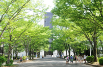 日本大學