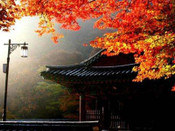 韓國留學(xué)