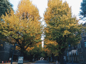 芥末留學(xué)