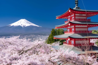 芥末留學