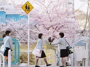 芥末留學(xué)