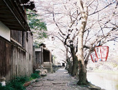 芥末留學(xué)