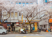 樱美林大学