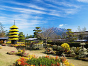 日本留學(xué)