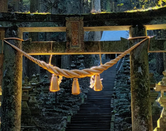 芥末留學(xué)