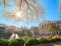 韩国留学