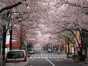 芥末留學(xué)
